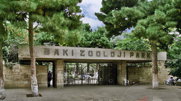 Bakı Zooparkı bağlandı- VİDEO