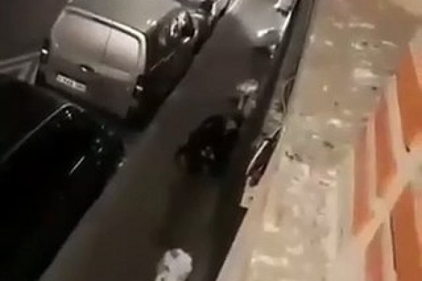 Polis gənci küçənin ortasında amansızcasına döydü - VİDEO