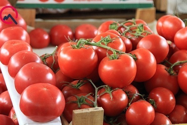 Rusiya 36 tondan çox Azərbaycan pomidorunu geri qaytardı