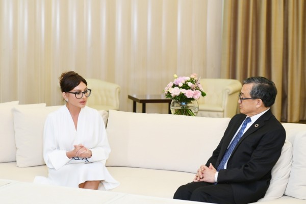 Birinci vitse-prezident Liu Zenminlə görüşdü - FOTO