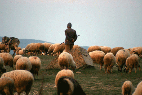 Sabirabadda çoban özünü asdı 