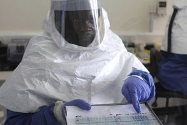 Afrikada növbəti bəla: yeni virus aşkarlandı