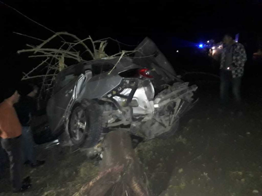 Minik avtomobili ağaca çırpıldı - sürücü öldü - FOTO