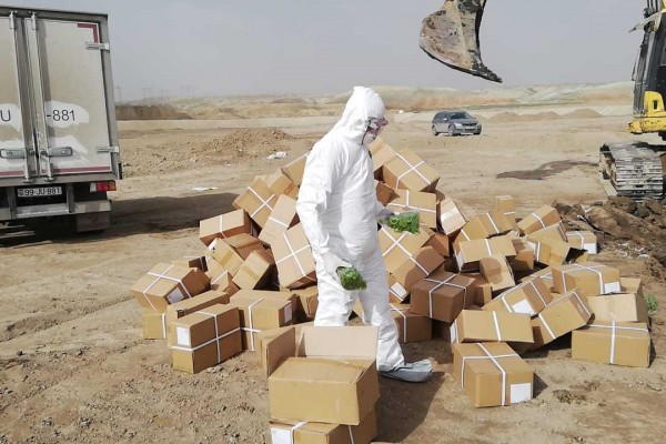 Çindən gətirilən 1500 kq kivi qurusu məhv edildi - FOTO