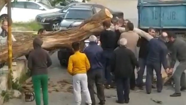 Bakıda külək ağacı avtomobilin üzərinə aşırdı 