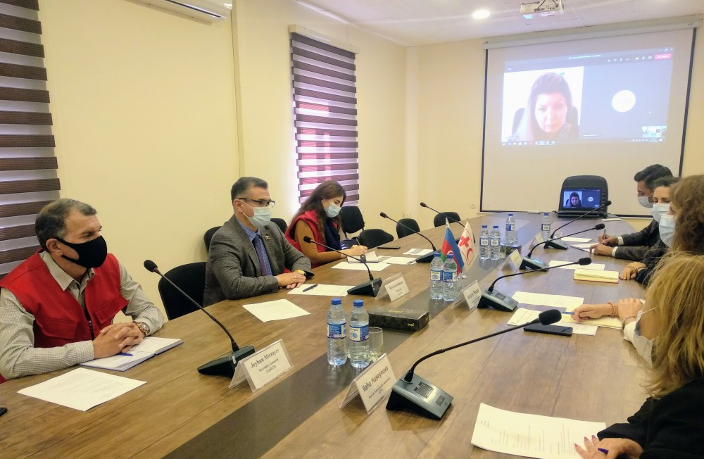 Novruz Aslanov beynəlxalq təşkilatların nümayəndələri ilə görüşdü - FOTOLAR