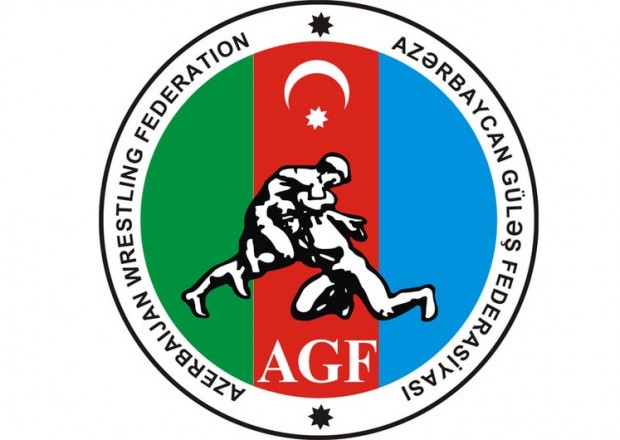 Azərbaycan Güləş Federasiyası Ordumuza maddi dəstək verdi 