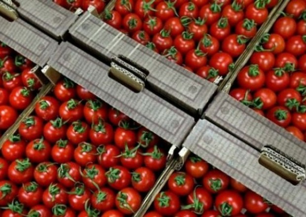 Rusiya Azərbaycandan pomidor idxalına icazə VERDİ