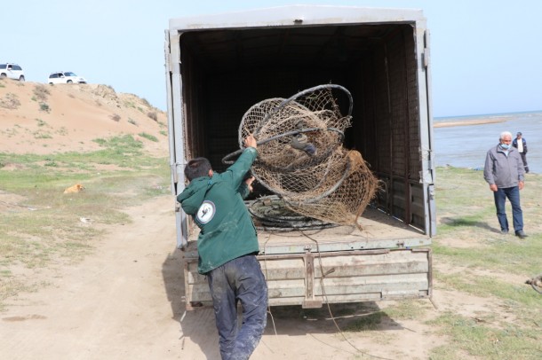 Baş Şirvan kollektoru qanunsuz balıq torlarından təmizləndi - FOTOLAR