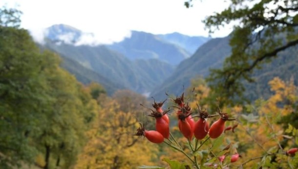 Azərbaycanın milli parklarından payız görüntüləri - FOTOLAR