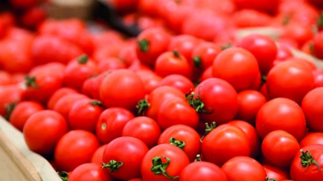 205 müəssisədən Rusiyaya pomidor ixracına icazə verildi 