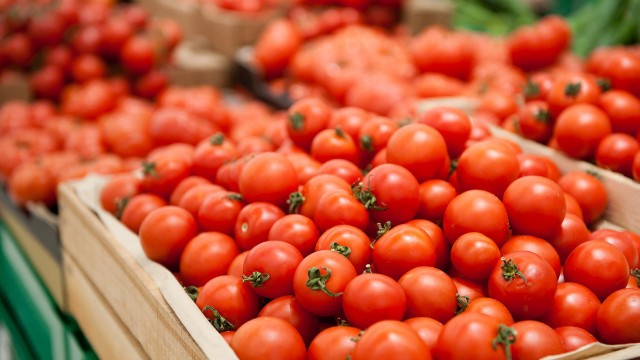 Rusiya 47 ton pomidoru Azərbaycana geri qaytardı