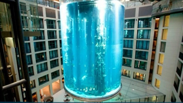 Berlində dünyanın ən böyük akvariumu partladı - VİDEO