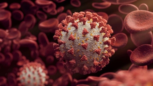 Koronavirusun yeni ştamı daha bir ölkədə aşkarlandı