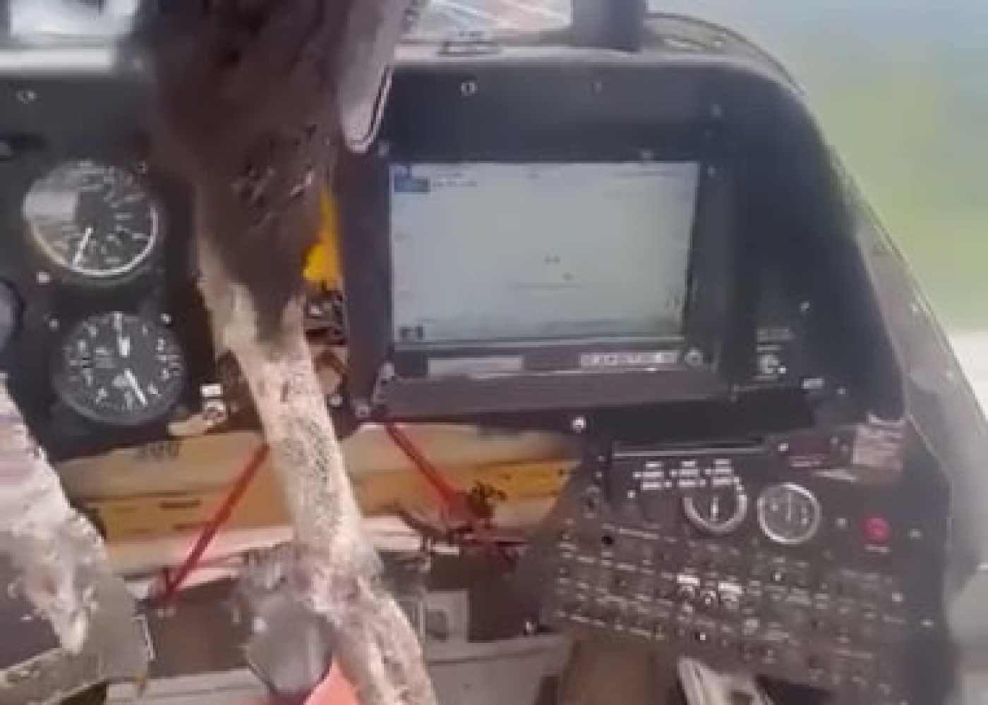 Ekvadorda yırtıcı quş pilotlara hücum etdi - VİDEO