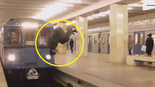 Metroda gənc oğlan özünü qatarın qarşından belə atdı - VİDEO