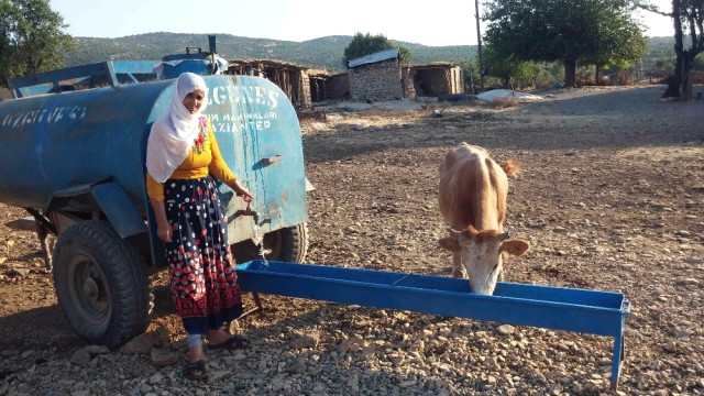 150 ildir susuz qalan kəndi eşşəklər su ilə təmin edir -  FOTO-VIDEO