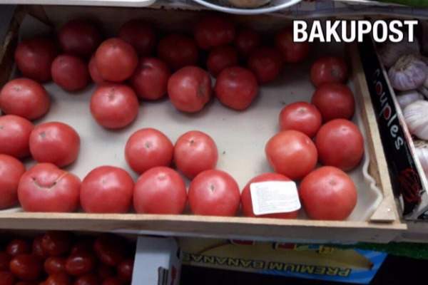 Azərbaycanlı Kəlbəcərdə yetişdirdiyi pomidoru   Moskvada satır - FOTO