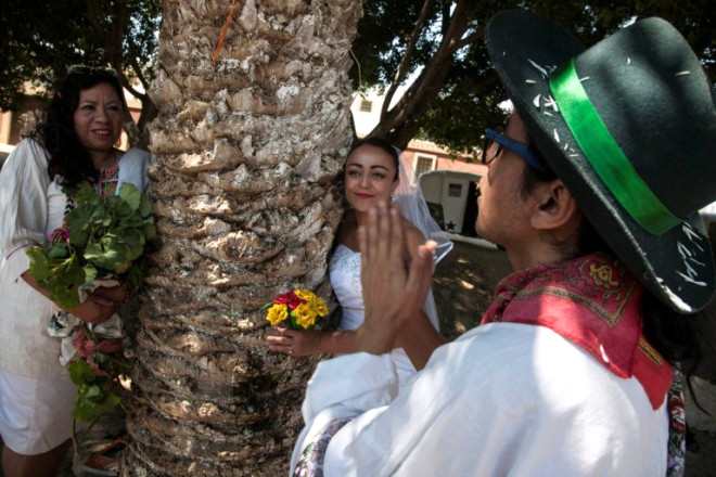  Bu ölkədə qadınlar ağaclarla evlənir   - FOTO