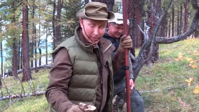 Putin ad gününü dağlarda belə keçirir - göbələk yığır... (VİDEO)