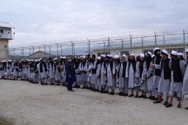 700-dən çox "Taliban" üzvü azad edildi