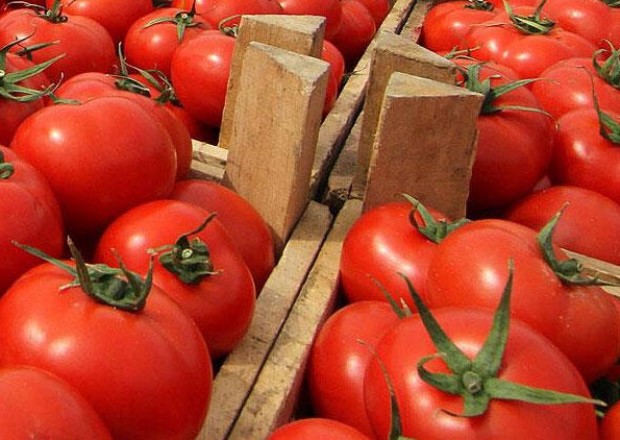 Daha 5 müəssisə Rusiyaya pomidor satacaq
