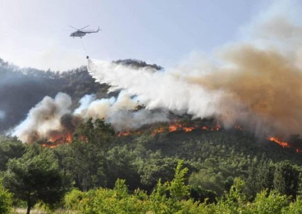Türkiyədə meşələri yandıran 7 rusiyalı saxlanıldı