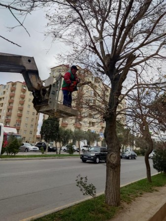 Qaradağ rayonunda sanitar günü keçirilib- FOTOLAR