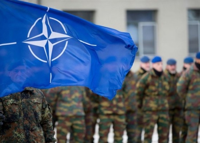 Finlandiya NATO-ya üzvlüklə bağlı qərarını açıqlayacaq 