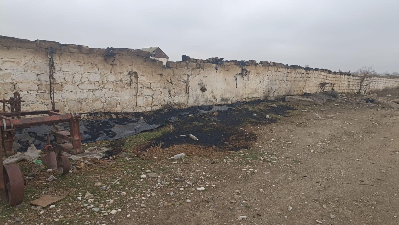 Goranboyda ferma yandırıldı - 230 baş heyvan tələf oldu - FOTO