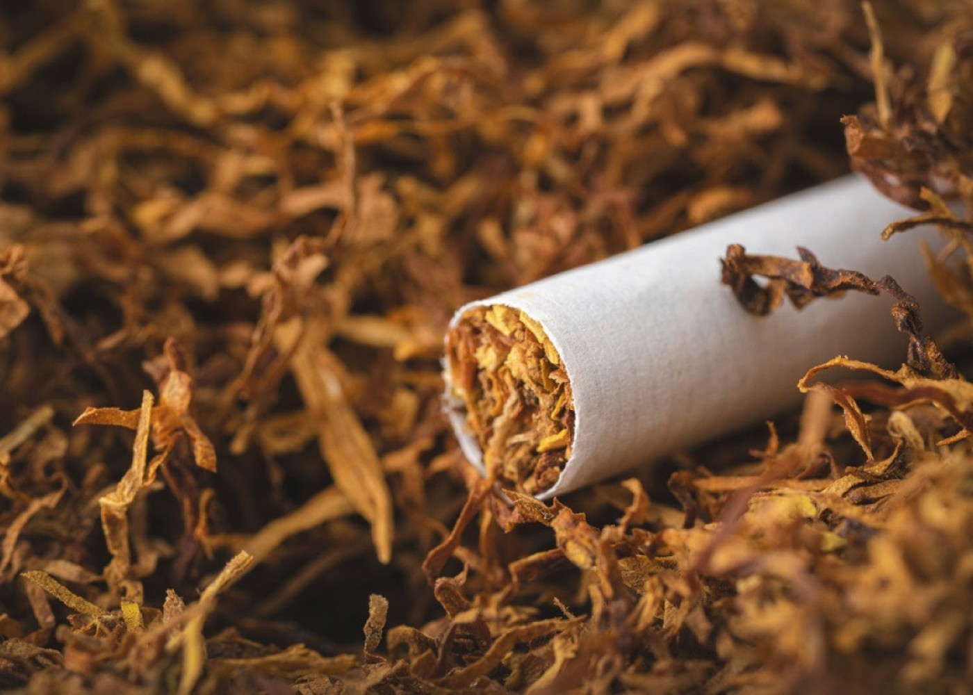 Tütün məmulatının istehsalına yeni tələblər qoyulur