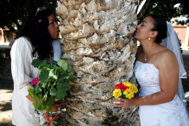  Bu ölkədə qadınlar ağaclarla evlənir   - FOTO