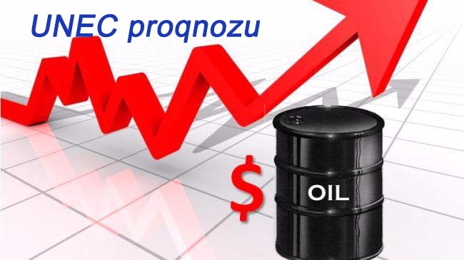 Azərbaycan nefti 104 dollar olacaq - PROQNOZ