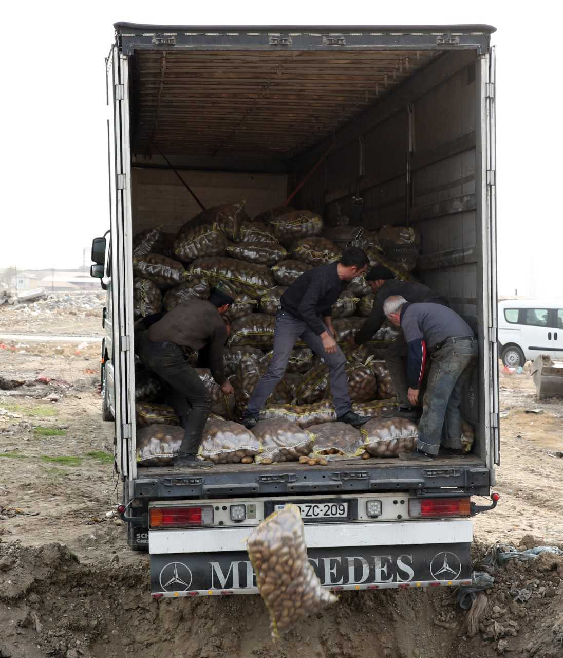 Sumqayıtda 26 ton kartof məhv edildi - FOTO